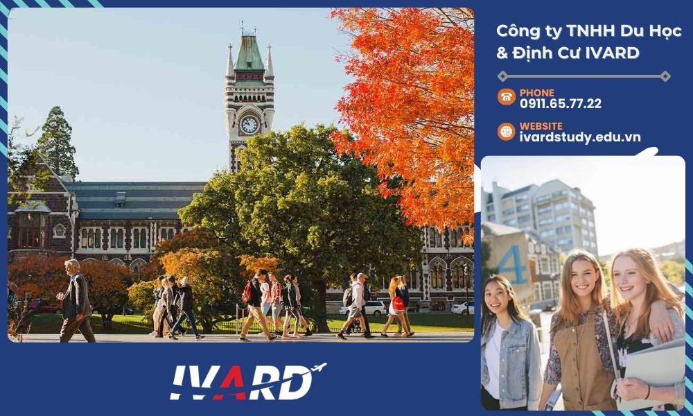 Chính phủ New Zealand cung cấp nhiều chương trình học bổng dành cho sinh viên quốc tế